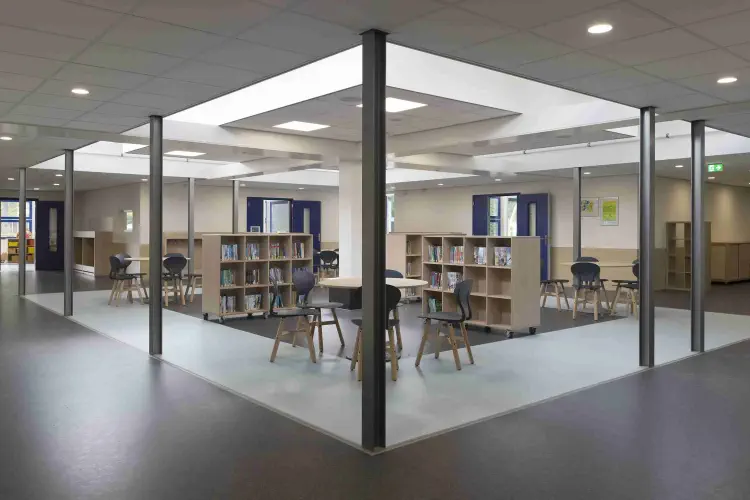 Farelschool